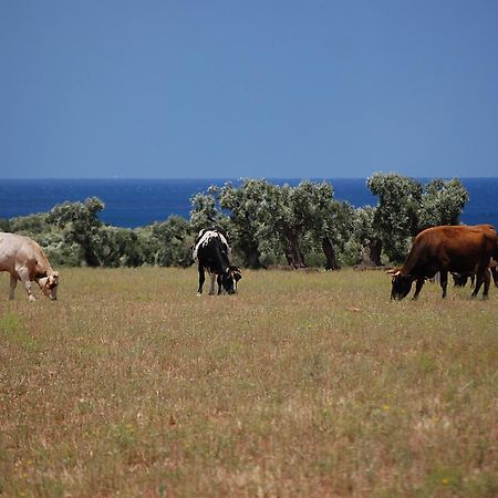 Masseria Palombara Grande Остуни Екстериор снимка